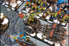 Orcs and Goblins army