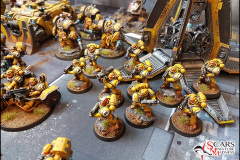 Imperial Fists army