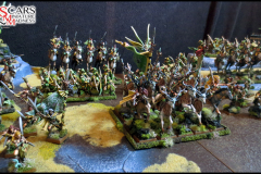 Wood Elves army