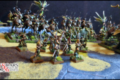 Wood Elves army